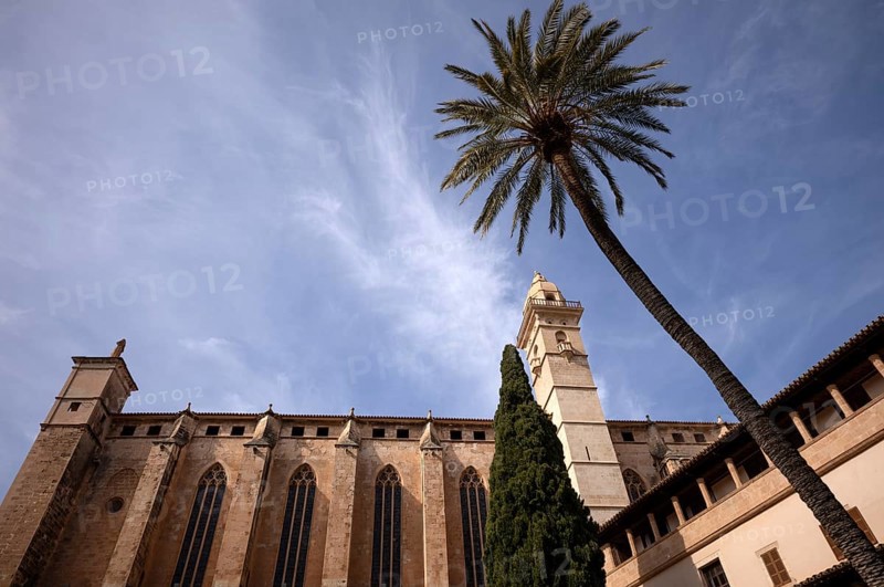 View from the cloister to the basilica of Sant Francesc Monastery, San Francisco, Palma de Majorca, Majorca, Balearic Islands, Balearic Islands, Spain, Europe