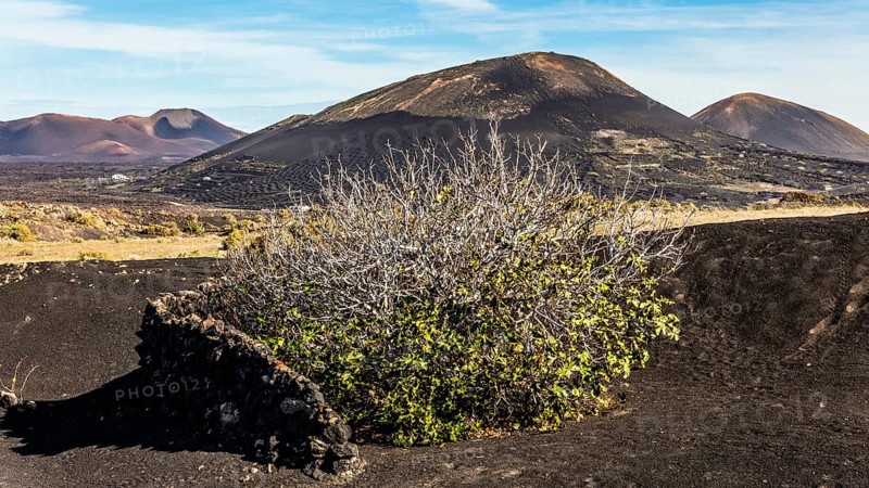 2016, La Geria, Lanzarote, La Geria, ESP, Spain, Canary Islands, Canary Islands, Atlantic Ocean, Lanzarote, biosphere reserve, volcano, volcanism, volcanic island, island, wine-growing area, wine, nature reserve, recording date, Europe