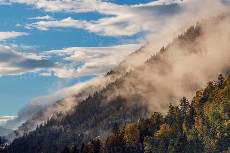 Isar valley nature conservancy area. The wild Isar river flows through its gravel bed past driftwood and entrained trees and bushes . Early morning