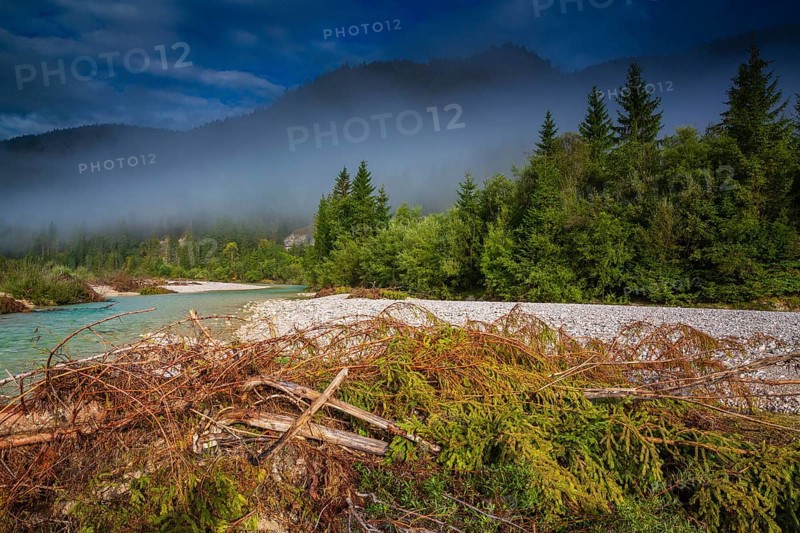Isar valley nature conservancy area. The wild Isar river flows through its gravel bed past driftwood and entrained trees and bushes . Early morning