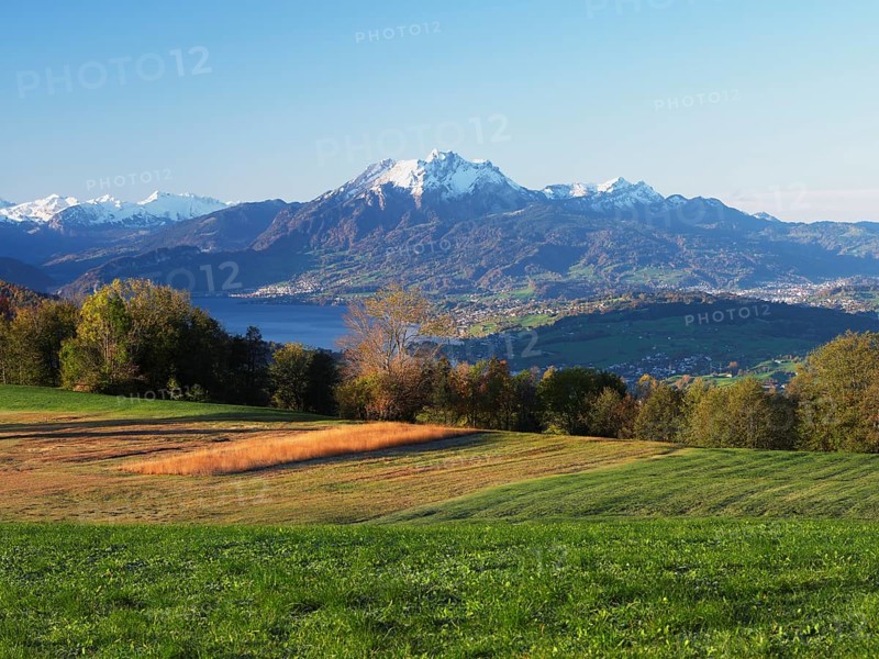View from Zugerberg to Lake Lucerne, Pilatus in the background, Canton Zug, Switzerland, Europe