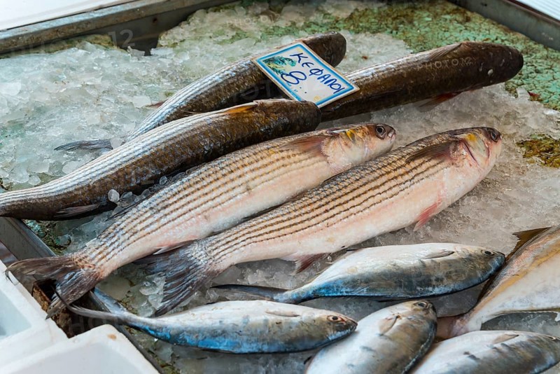 Various fish on ice, with price tags, presented at a market, mullet, market, Nafplio, Nafplio, Nafplion, Argolis, Peloponnese, Greece, Europe