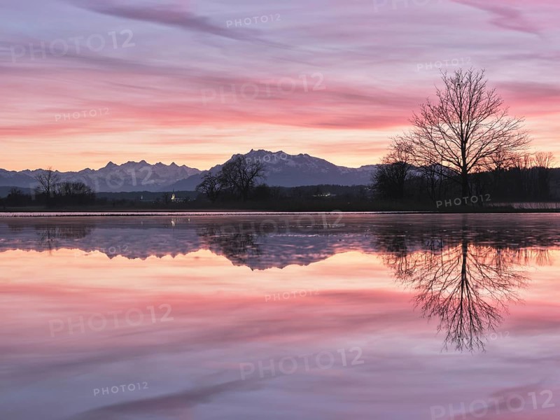 Pilatus reflected in the flooded nature reserve in the evening light, Reussspitz, Hünenberg, Canton Zug, Switzerland, Europe