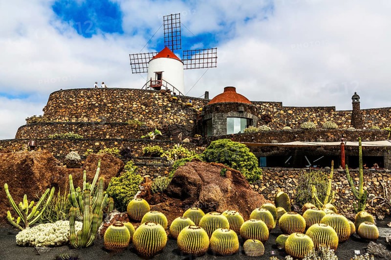 2016, Guatiza, Lanzarote, Jardin de Cactus by Cesar Manrique, ESP, Spain, Canary Islands, Canary Islands, Atlantic Ocean, Lanzarote, biosphere reserve, volcano, volcanism, volcanic island, island, recording date, Europe
