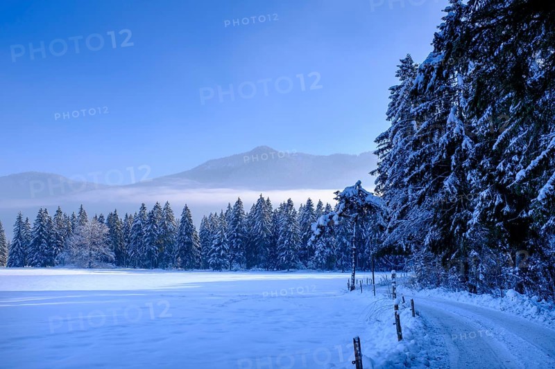 Jachenau near the Landerermühle, Jachenau, in winter, Tölzer Land, Upper Bavaria, Bavaria, Germany, Europe