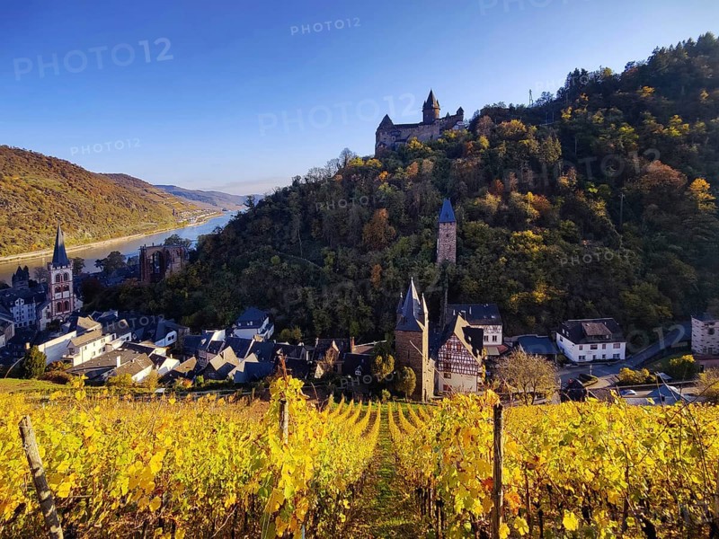 View of Bacharach with Stahleck Castle, hilltop castle above the Rhine, UNESCO World Heritage Upper Middle Rhine Valley in autumn, Rhineland-Palatinate, Germany, Europe