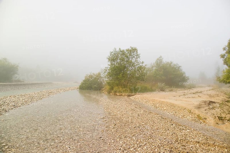 Isar valley nature conservancy area. The wild Isar river flows through its gravel bed past driftwood and entrained trees and bushes . Early morning with dense fog