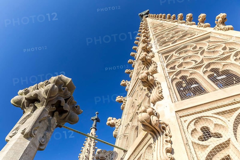 Neo-Gothic tower of St Aegidien Church in Oschatz, Saxony, Germany, Europe