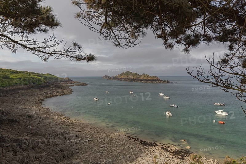 Beach with anchored motor boats, framed with the twigs of a pine tree. Looking at the sea and the isle Ile de Lands