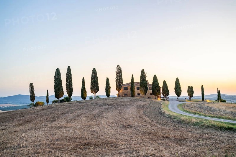 Tuscany landscape with cypresses and farmstead at sunrise, dawn, 'Podere Cipressini', San Quirico d'Orcia, Val d'Orcia, Tuscany, Italy, Europe