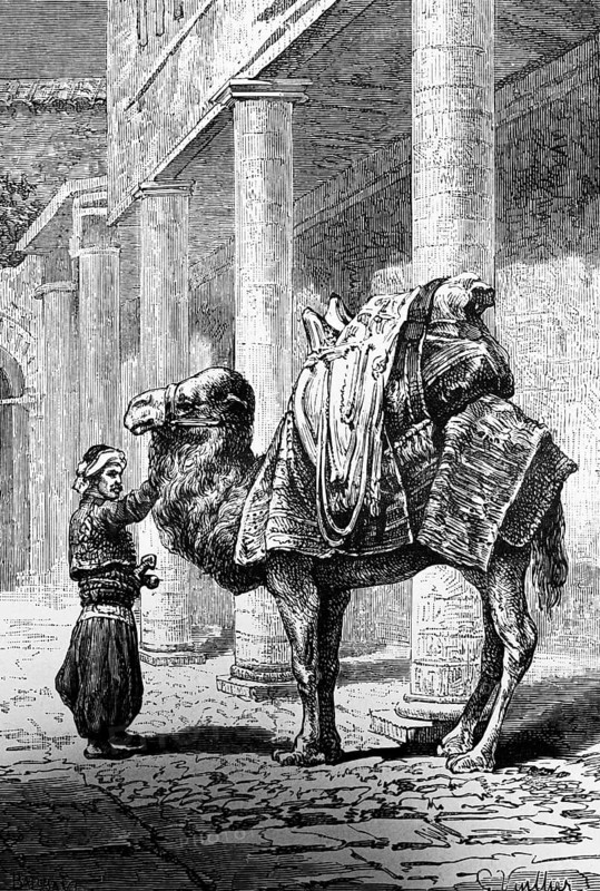 Loaded camel in Smyrna or Izmir, street, building with portico, camel driver, load, side view, travelling in Asia, Turkey, historical illustration 1887, Asia