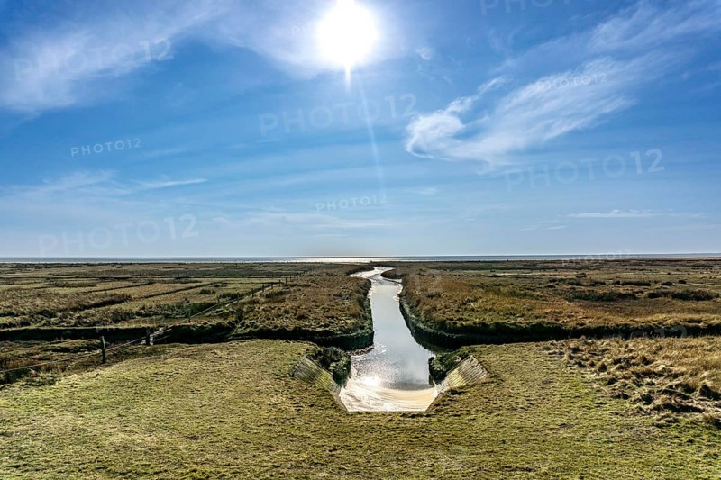 The East Frisian North Sea island of Juist in winter, marsh meadows in the west of the island, quiet zone in the national park, facing the Wadden Sea, Lower Saxony, Germany, Europe