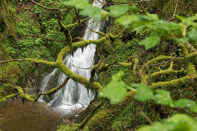 Moss-covered rocks and waterfall, Wutach Gorge, Bonndorf, Baden-Württemberg, Black Forest, Germany, Europe