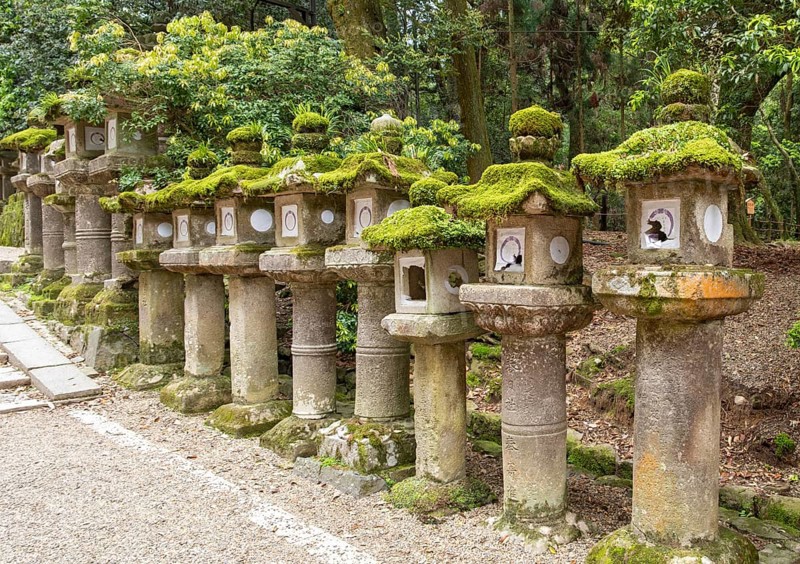 Stone lanterns, Kasuga-taisha shrine, Nara, Japan, Asia