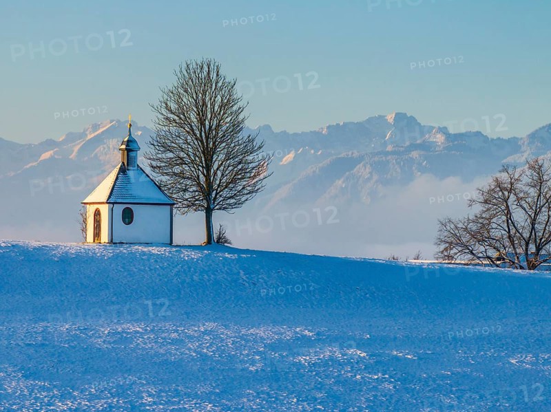 Chapel, tree, morning light, winter, snow, mountain landscape, near Riegsee, behind Zugspitze, Alpine foothills, Bavaria, Germany, Europe