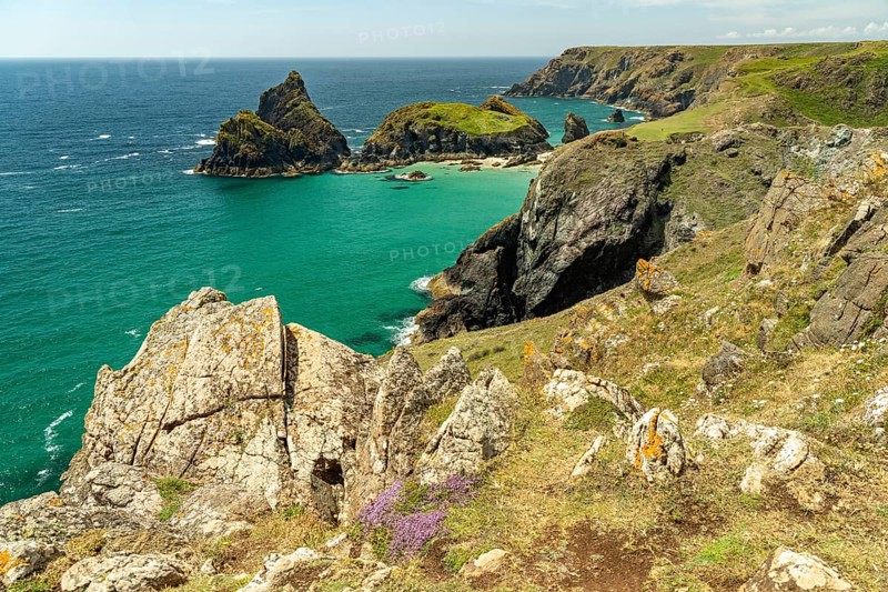 The coast at Kynance Cove, Cornwall, England, Great Britain