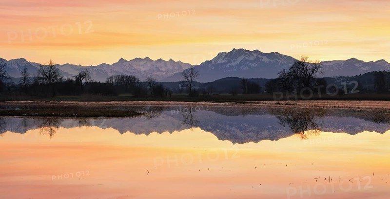 Pilatus reflected in the flooded nature reserve in the evening light, Reussspitz, Hünenberg, Canton Zug, Switzerland, Europe