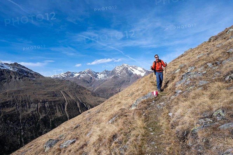 Mountaineers on a hiking trail in Niedertal, snow-covered mountain peaks of the Ötztal Alps with Wildspitze in the background, Ötztal Alps, Tyrol, Austria, Europe