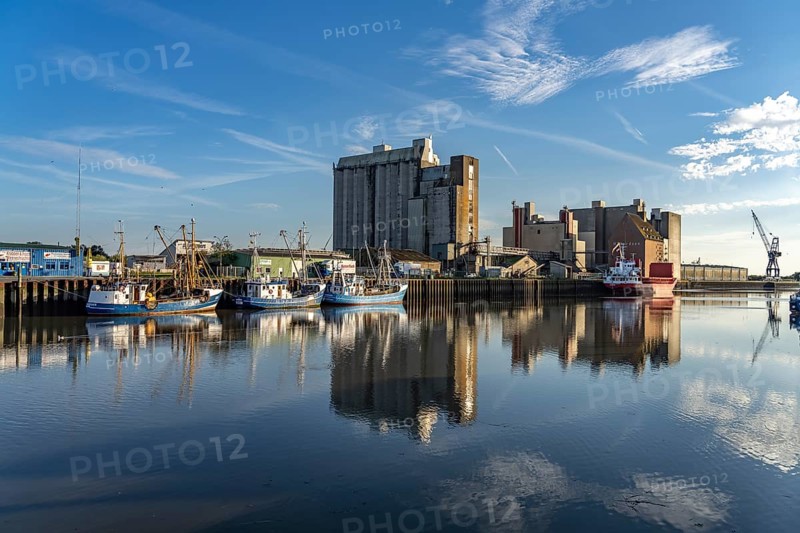 Cutter in the harbour in Husum, Nordfriesland district, Schleswig-Holstein, Germany, Europe