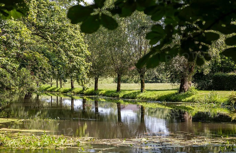 A calm river flows through a green landscape, lined with trees that are reflected in the water, Alstätter Aa, Ahaus-Alstätte, Münsterland, North Rhine-Westphalia, Germany, Europe