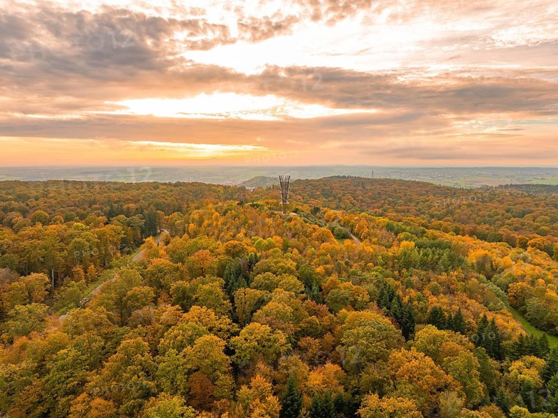 Extensive autumnal forest with observation tower and lush greenery, Schönbuchturm, Herrenberg, Germany, Europe