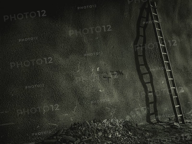Ladder in a section of tunnel lined with shotcrete in construction lot H53, Brenner Base Tunnel, Wolf, Tyrol, Austria, Europe