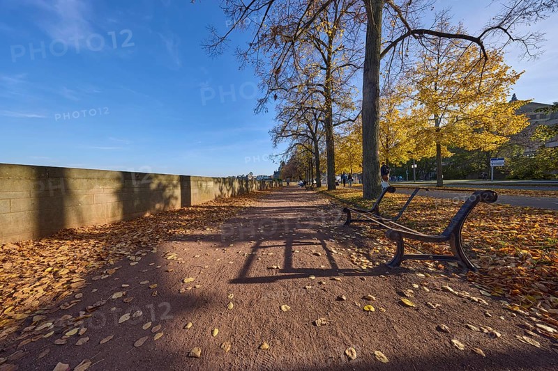 Footpath, bench, wall, autumn leaves, trees with light-flooded autumnal foliage, frog perspective, blue sky with cirrostratus clouds, Terrassenufer, Dresden, state capital, independent city, Saxony, Germany, Europe