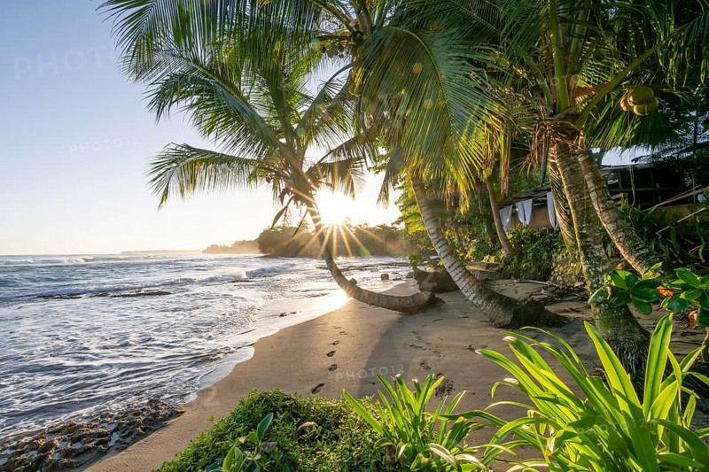 Sea and Caribbean sandy beach with palm trees at sunrise, sun star, Caribbean coast, Playa Negra, Cahuita, Limón province, Costa Rica, Central America