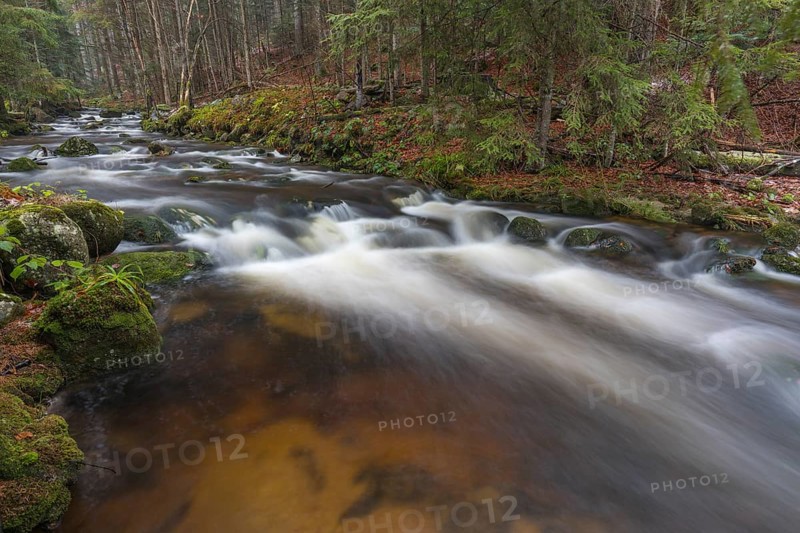 Kleine Ohe creek below Waldhaeuser village in the Bavarian Forest Nationalpark. Flowing water and fallen trees