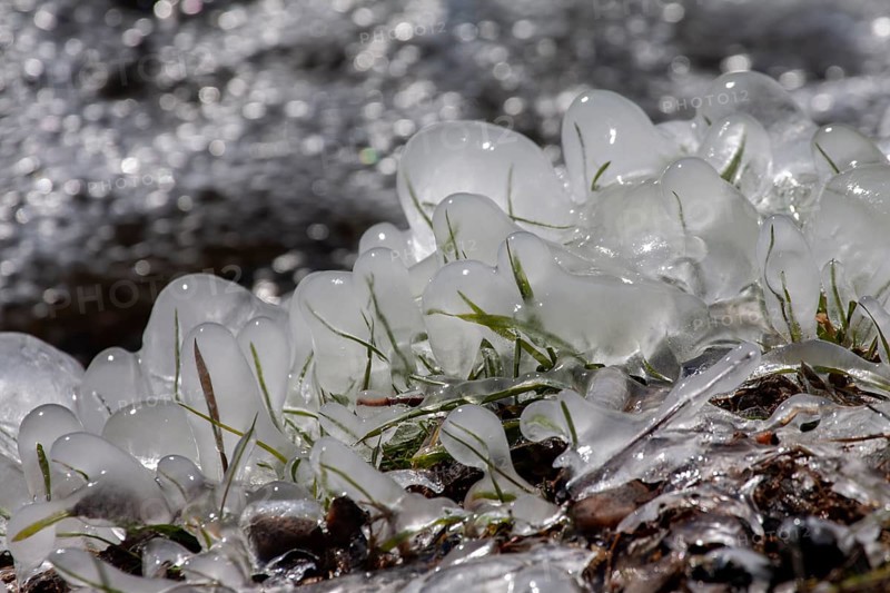 Frozen grass covered with ice, shining in the winter nature, Palatinate, Rhineland-Palatinate, Germany, Europe