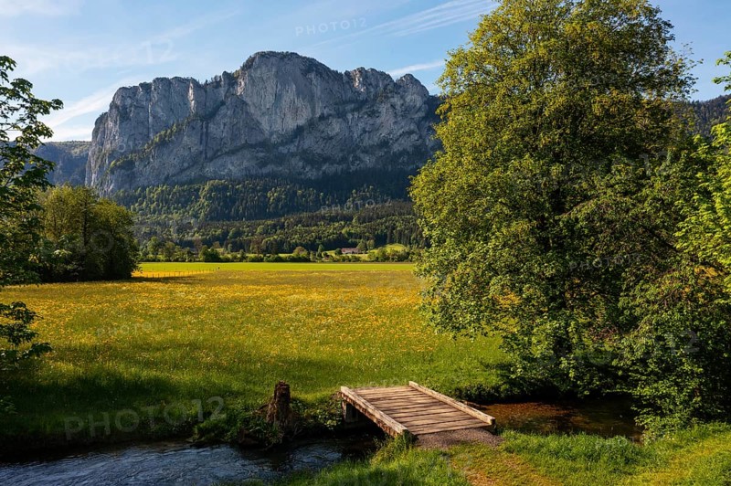 Fuschler Ache and spring flower meadow with Drachenwand, Mondseeland, Salzkammergut, Upper Austria, Austria, Europe