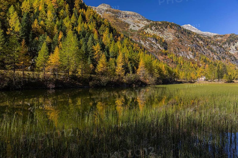 Little pond of the Malta river with a mountain forest in fall foliage on a bright sunny morning. Seen from the Malta Hochalm road. Carithia, Austria, Europe