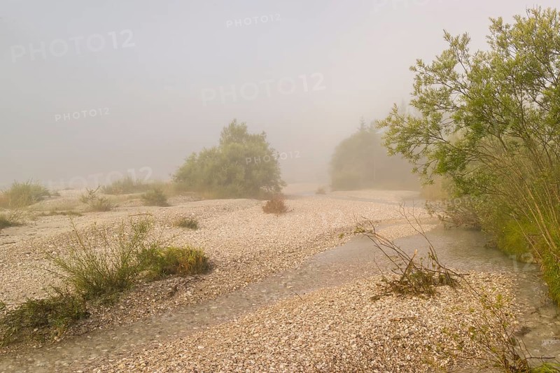 Isar valley nature conservancy area. The wild Isar river flows through its gravel bed past driftwood and entrained trees and bushes . Early morning with dense fog