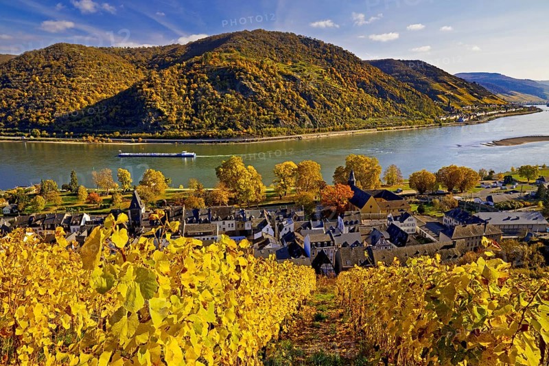View of Bacharach on the Rhine in autumn, UNESCO World Heritage Upper Middle Rhine Valley, long-distance hiking trail RheinBurgenWeg, Rhineland-Palatinate, Germany, Europe