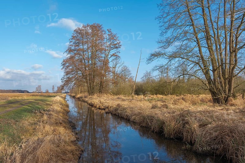 View of the vegetation along the Fangegraben at the Steinhuder Meer, ditch, trees, landscape photo, nature photo, flora, fauna, landscape format, willow, grasses, lowland, sky, clouds, Hagenburg, Steinhude, Hanover region, Lower Saxony, Germany, Europe