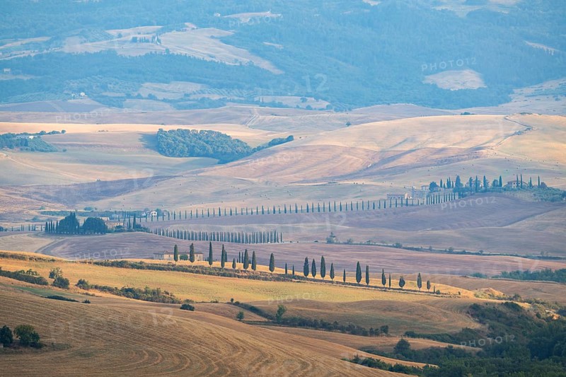 Typical Tuscan landscape in Val d'Orcia with hills, trees, fields, farmhouses and cypresses in summer, Tuscany, Italy, Europe