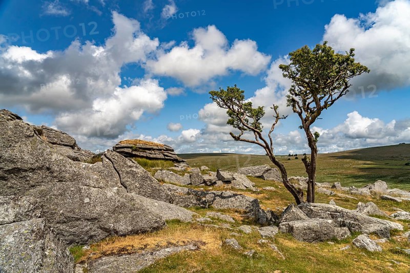 Landscape at the rock formation King's Tor tor in Dartmoor, Devon, England, Great Britain