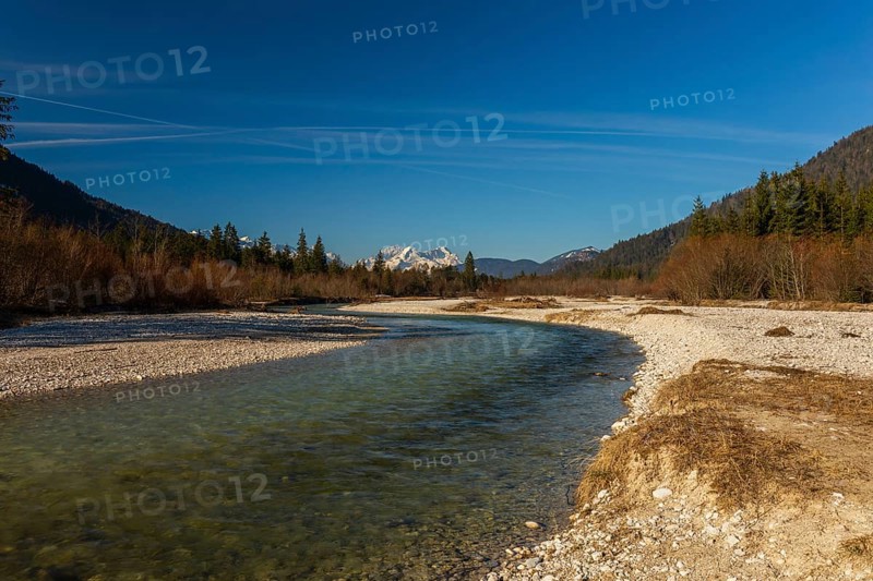 Isar valley nature conservancy area. The wild Isar river flows through its gravel bed past driftwood and entrained trees and bushes . Early morning