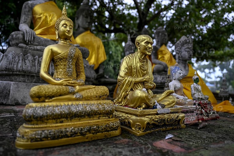 Buddha statues in Wat Yai Chai Mongkhon, Buddhist temple, Ayutthaya, Ayutthaya province, Thailand, Asia