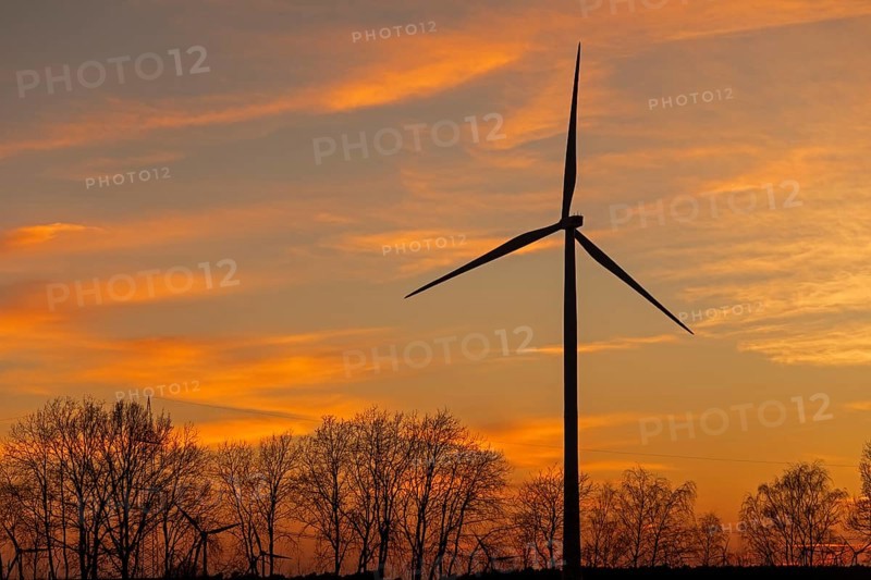 Sunset, wind power plant, trees, silhouettes, Melbeck, Samtgemeinde Ilmenau, Lower Saxony, Germany, Europe