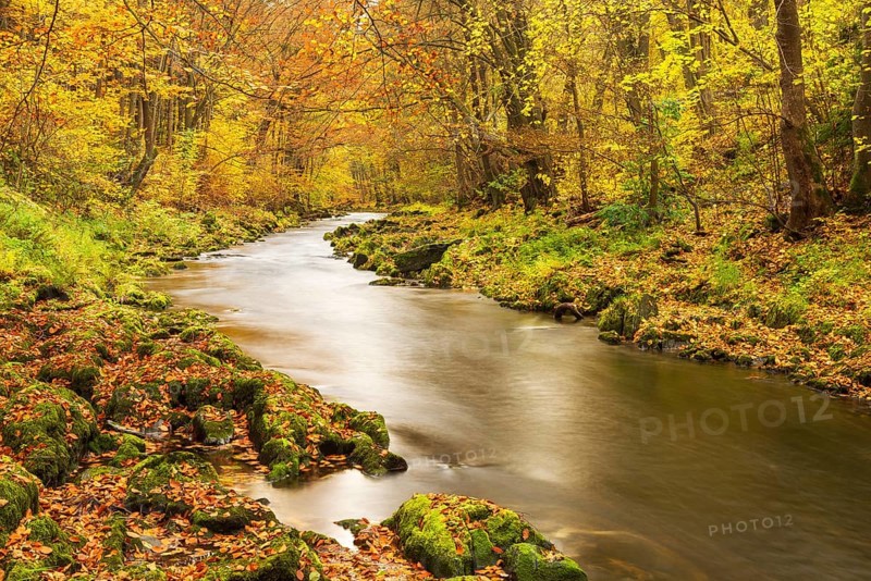 Autumn by the Schwarza river in the Schwarzatal nature reserve between Bad Blankenburg and Schwarzburg, Thuringia, Germany, Europe