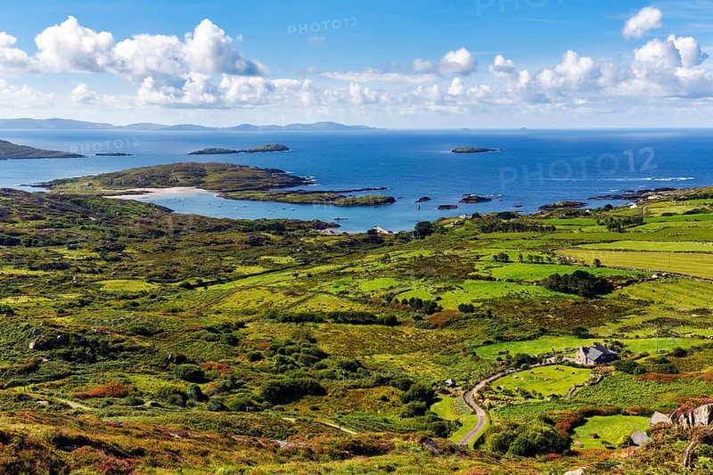 Typical coastline, blooming heather, view from above, spring clouds, panoramic road Ring of Kerry, Iveragh Peninsula, Ireland, Europe