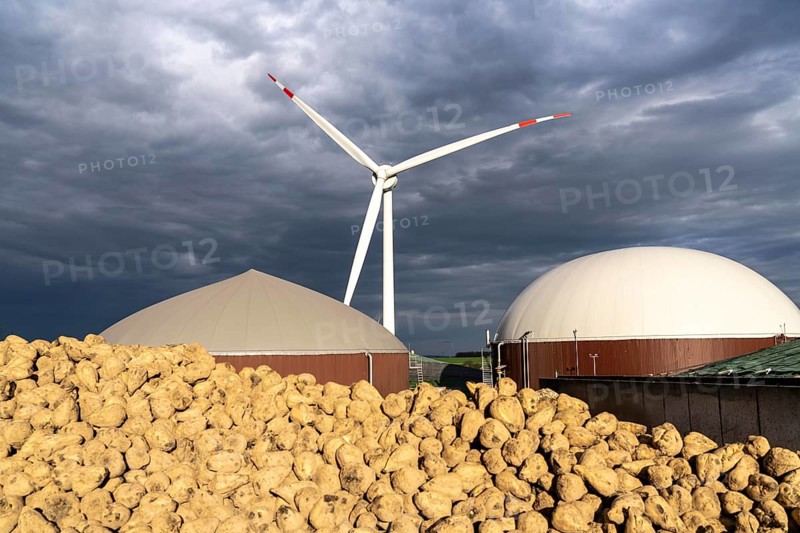 Biogas plant produces gas from various biomass, here the sugar beet storage, the electricity is produced in combined heat and power plants with the biogas produced and sold to companies in the neighbouring industrial estate, the heat generated is fed into a local heating network, gas storage and wind power plant, Ense, North Rhine-Westphalia, Germany, Europe