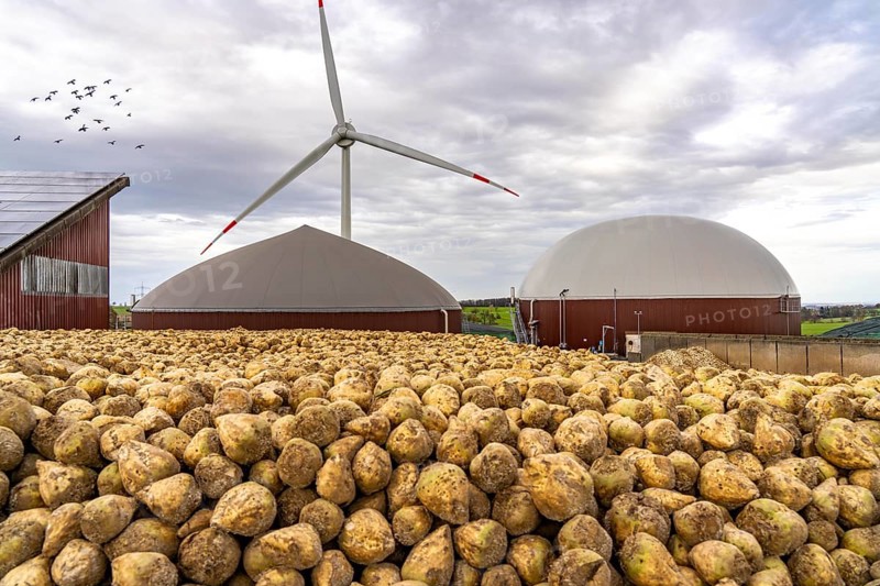 Biogas plant produces gas from various biomass, here the sugar beet storage, the electricity is produced in combined heat and power plants with the biogas produced and sold to companies in the neighbouring industrial estate, the heat generated is fed into a local heating network, gas storage and wind power plant, Ense, North Rhine-Westphalia, Germany, Europe