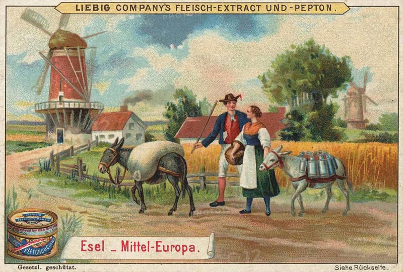 Picture series Animals of the countries, donkeys from Central Europe, Liebig picture, digitally restored reproduction of a collector's picture from about 1900, public domain, exact date unknown, peasant couple with donkeys in Central European landscape with windmill