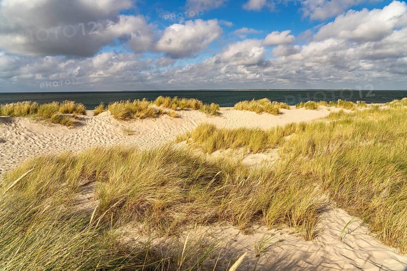 Dune landscape on the coast of Ellenbogen near List, island of Sylt, district of North Friesland, Schleswig-Holstein, Germany, Europe