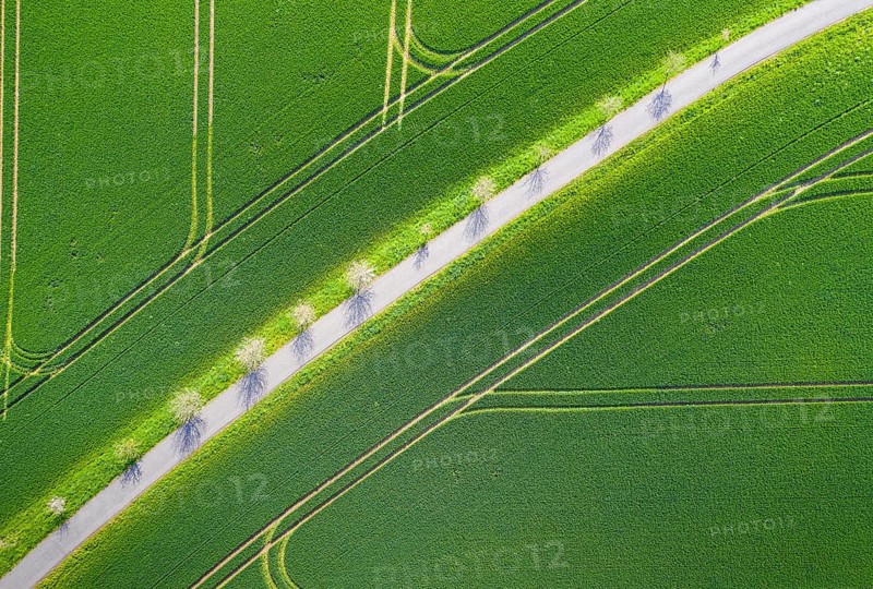 Pattern of path and tractor tracks in a field, aerial view like leaf structure, Rochlitz, Saxony, Germany, Europe