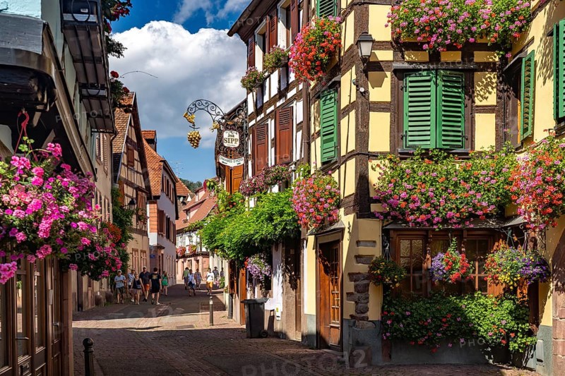 Colourful floral decorations in the old town of Ribeauville, Alsace, France, Europe