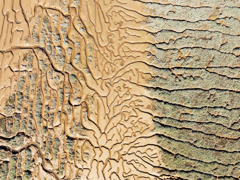 Network of channels and streams at low tide. In the marshland adjacent to the Odiel river. Aerial view. Drone shot. Huelva province, Andalusia, Spain, Europe