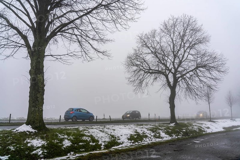 Dense fog, with visibility sometimes less than 100 metres, country road, Meisenburgstraße, in Essen, North Rhine-Westphalia, Germany, Europe